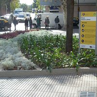 Entrada a la plaza