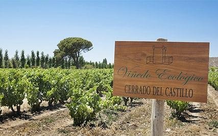 Imagen 2 de Bodega Castillo de Cuzcurrita