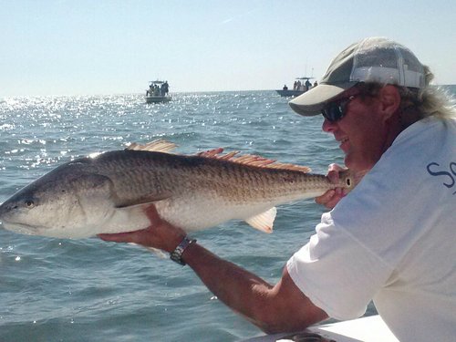 Creek Fishing - Kiawah Island Golf Resort