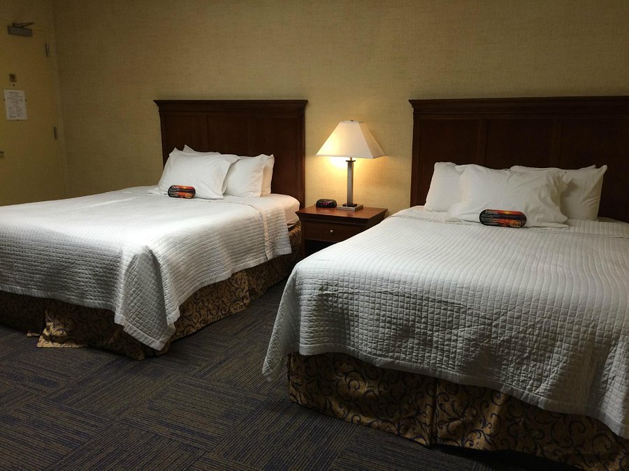 REITZ UNION HOTEL UF CAMPUS Prices Reviews (Gainesville FL
