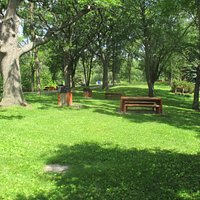 Many picnic tables with permanent grills