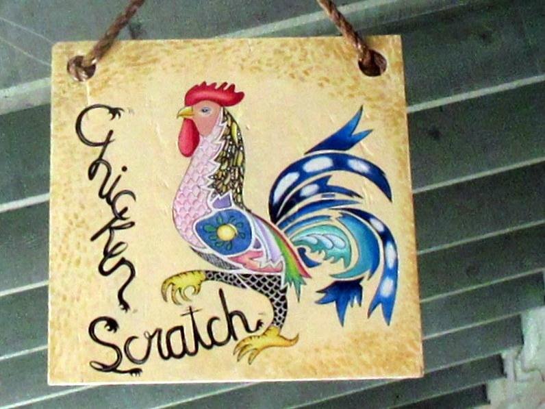 Chicken scratch