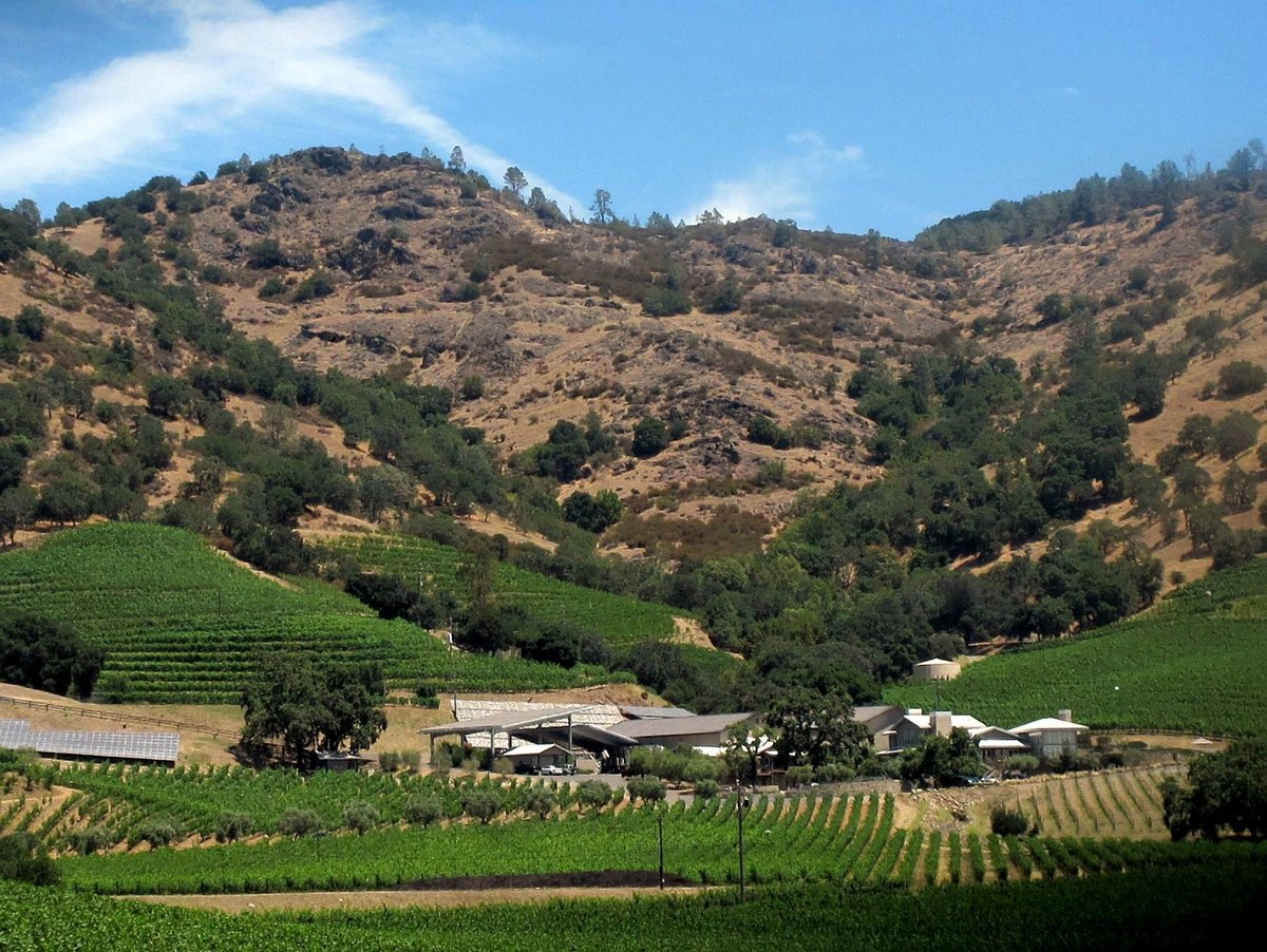 Shafer Vineyards (Napa): All You Need to Know BEFORE You Go