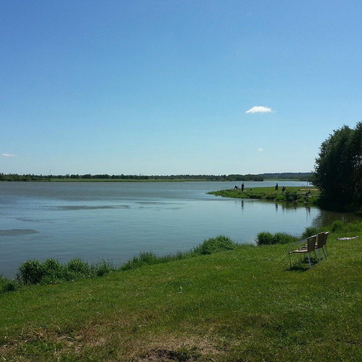 Кипень царская. Озеро Кипень. Озеро Кипень Ленинградская область. Кипень озеро пляж. Озеро Кипень рыбалка.