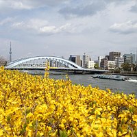 uente Eitai en una zona bonita de puentes en el Sumida y canales