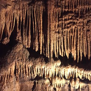 肯塔基最佳景点玩乐 Tripadvisor 肯塔基最佳景点玩乐 Tripadvisor