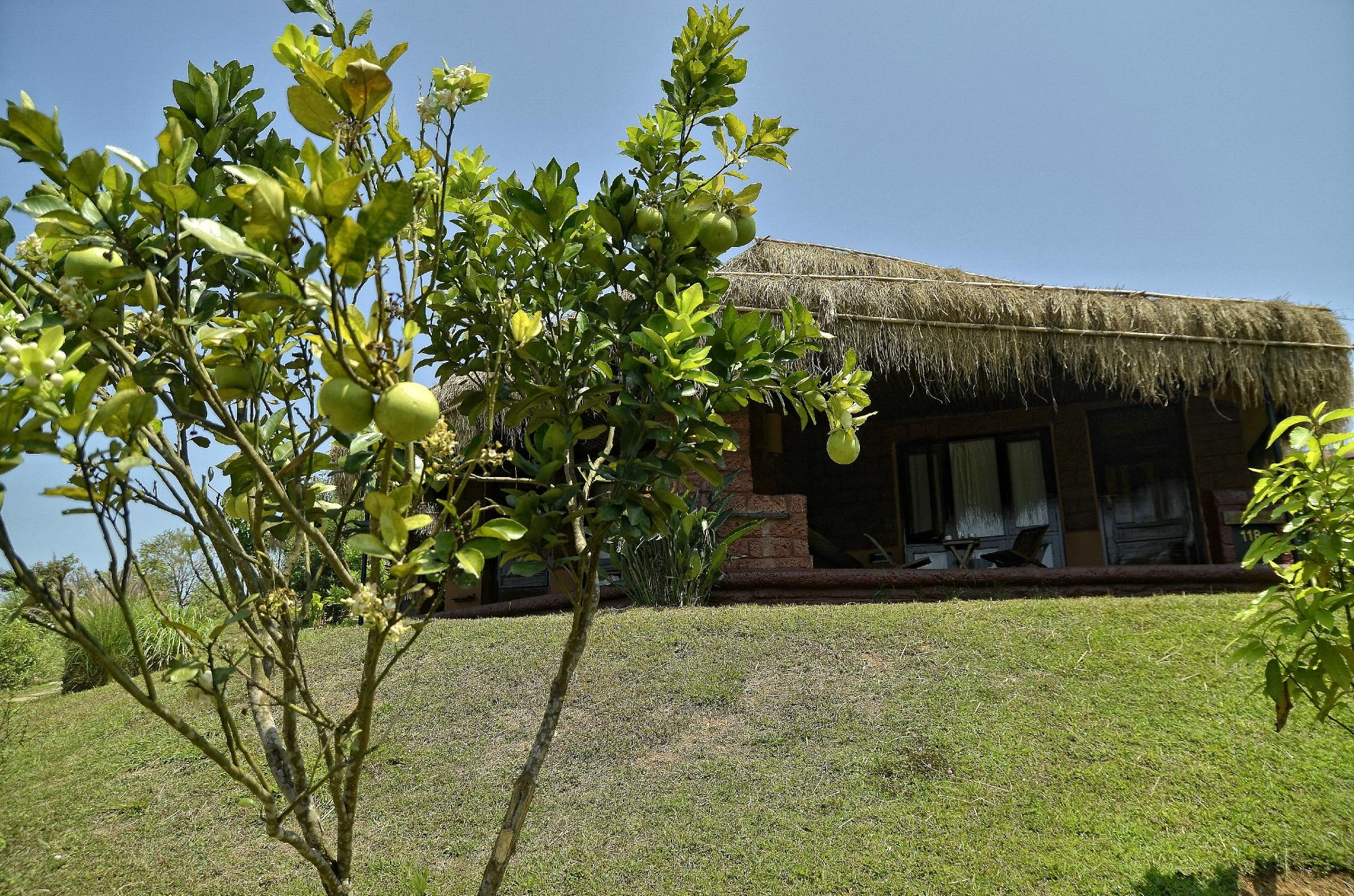Hotel photo 67 of Heritage Resort Coorg.