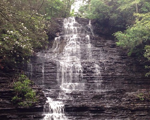 10 Best Things to Do in Benton: Top Attractions & Places