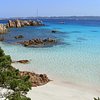 cinzia_pallina