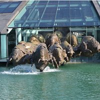 Powerfull charge of sculpted bulls at Fuschl