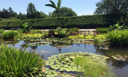 Biltmore - Italian Gardens