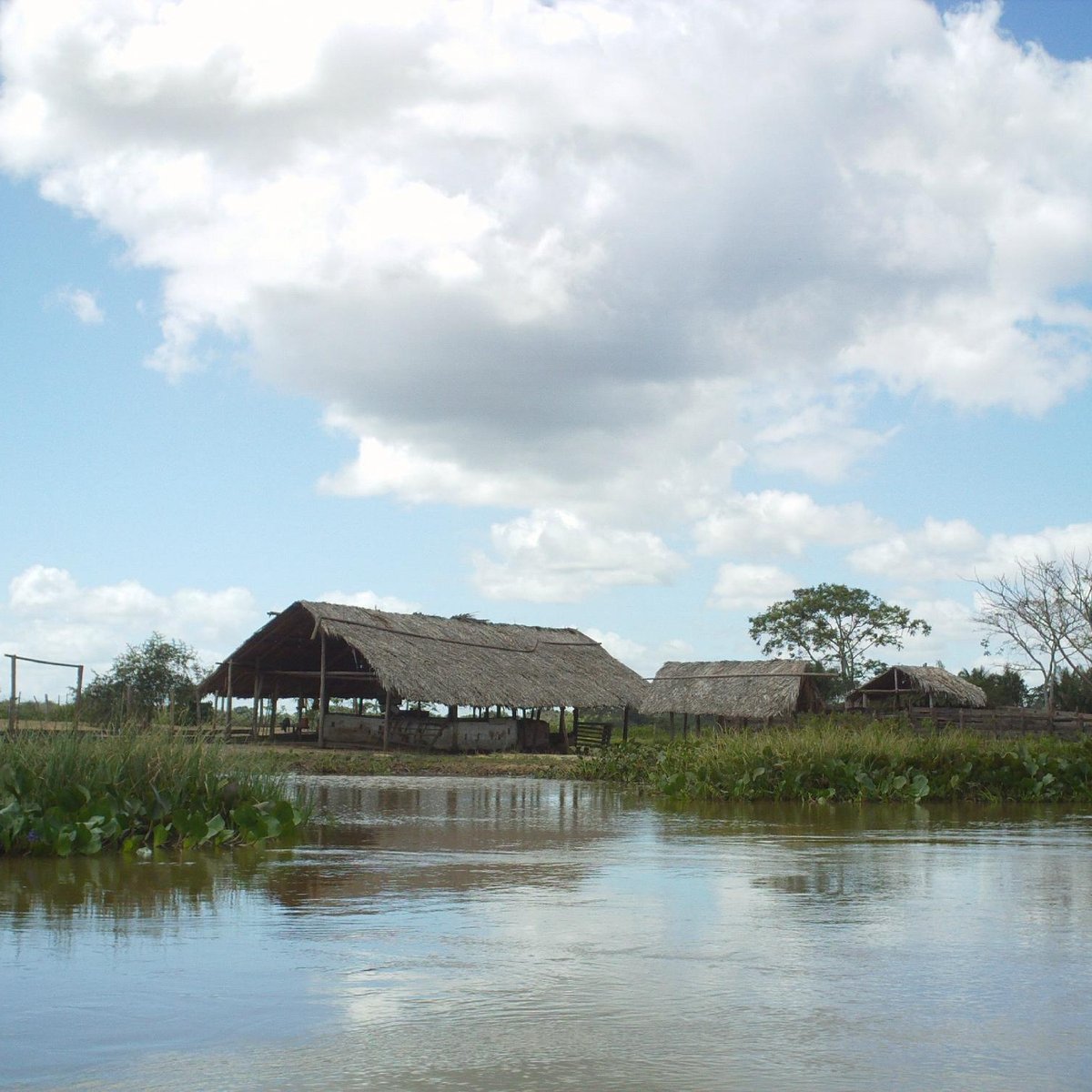 Orinoco River, Дельта реки Ориноко: лучшие советы перед посещением -  Tripadvisor