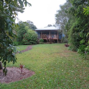 Back view of The Blue House