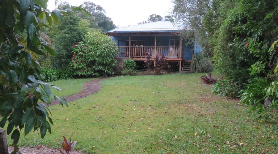 Back view of The Blue House