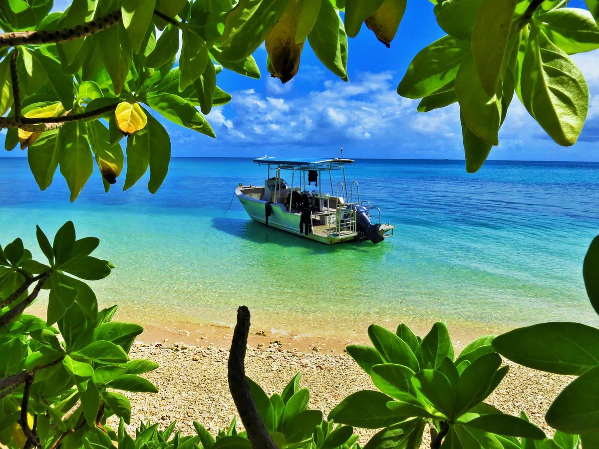 MAI DIVE - ASTROLABE REEF RESORT - Hotel Reviews (Fiji/Ono Island)