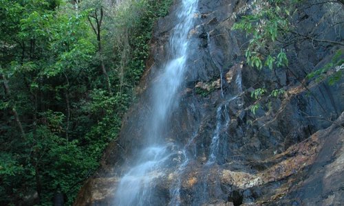 waterfall in the property