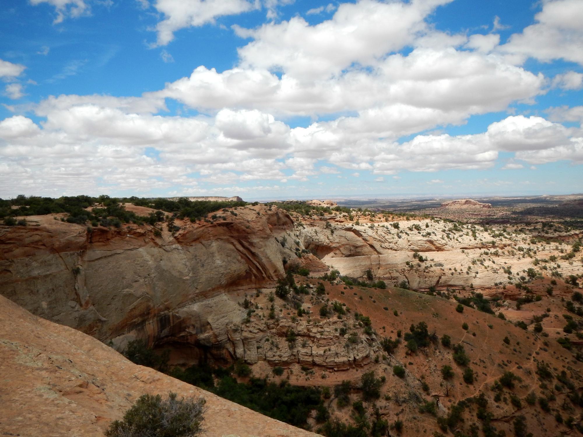 Neck spring trail clearance canyonlands