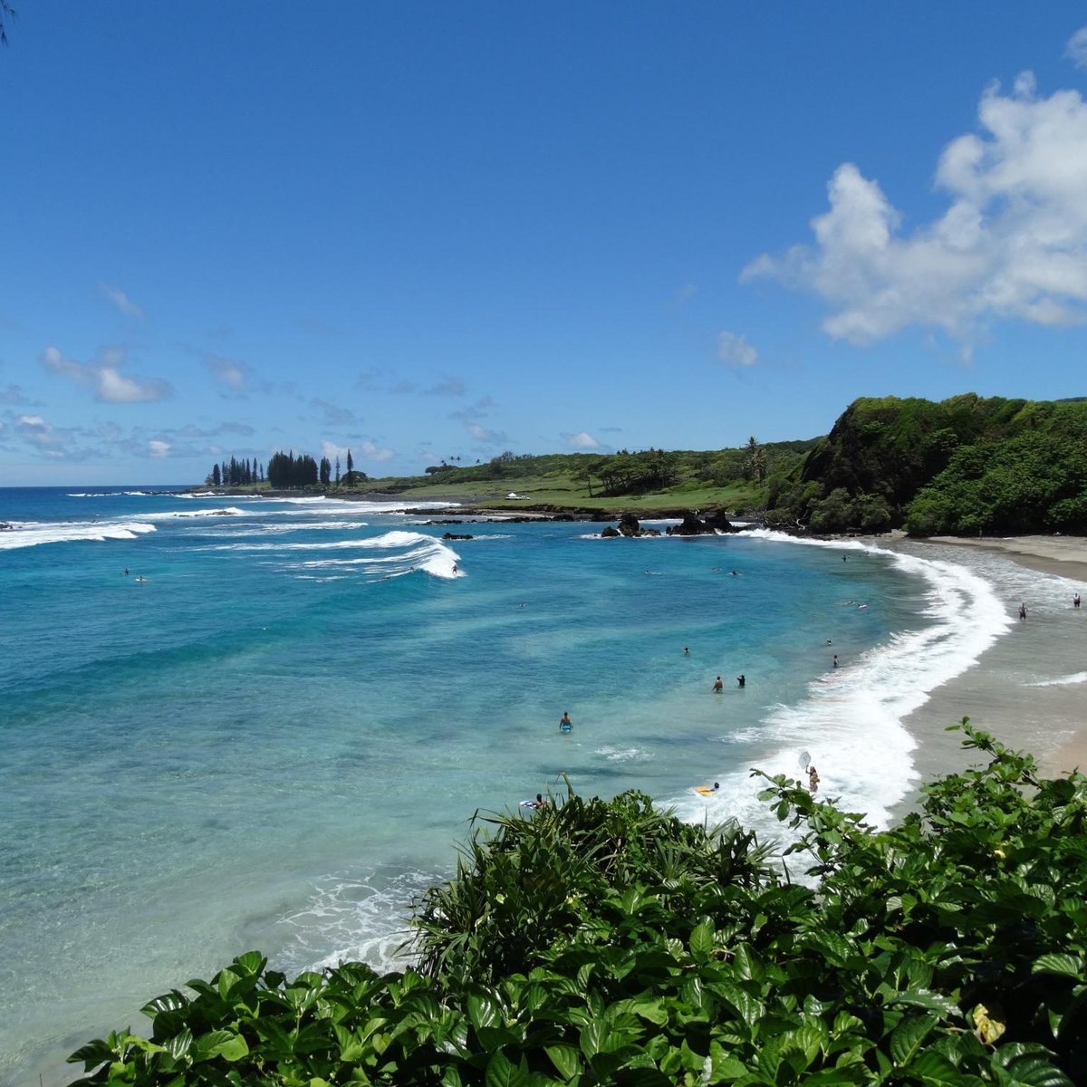 HAMOA BEACH (Maui): All You Need to Know BEFORE You Go