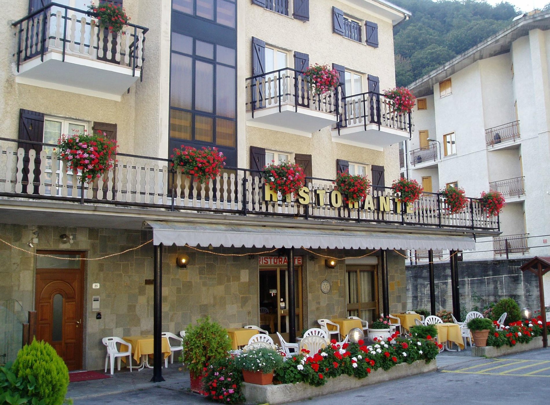 Albergo Delle Alpi image