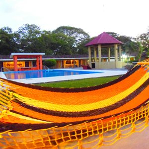 Pool and relax