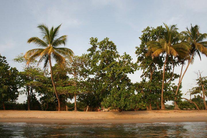Kribi Dating Site.
