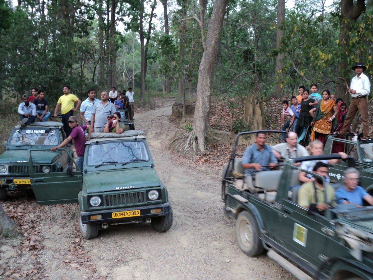 Corbett Jeep Safari - All You Need to Know BEFORE You Go (2024) -  Tripadvisor