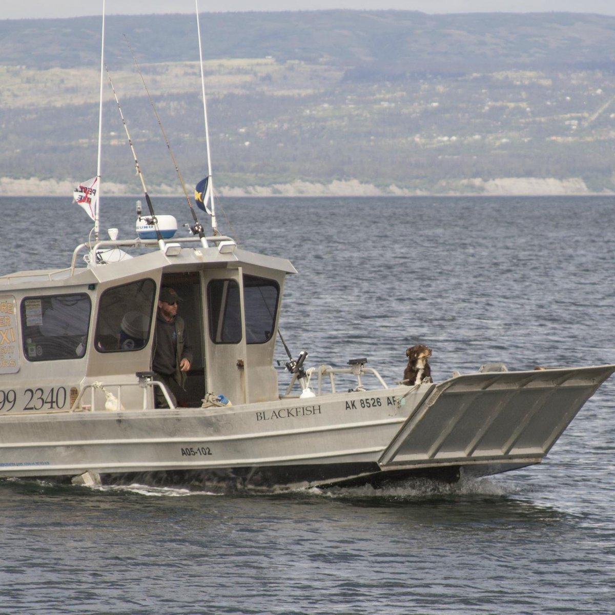 Ashore Water Taxi (homer) - All You Need To Know Before You Go