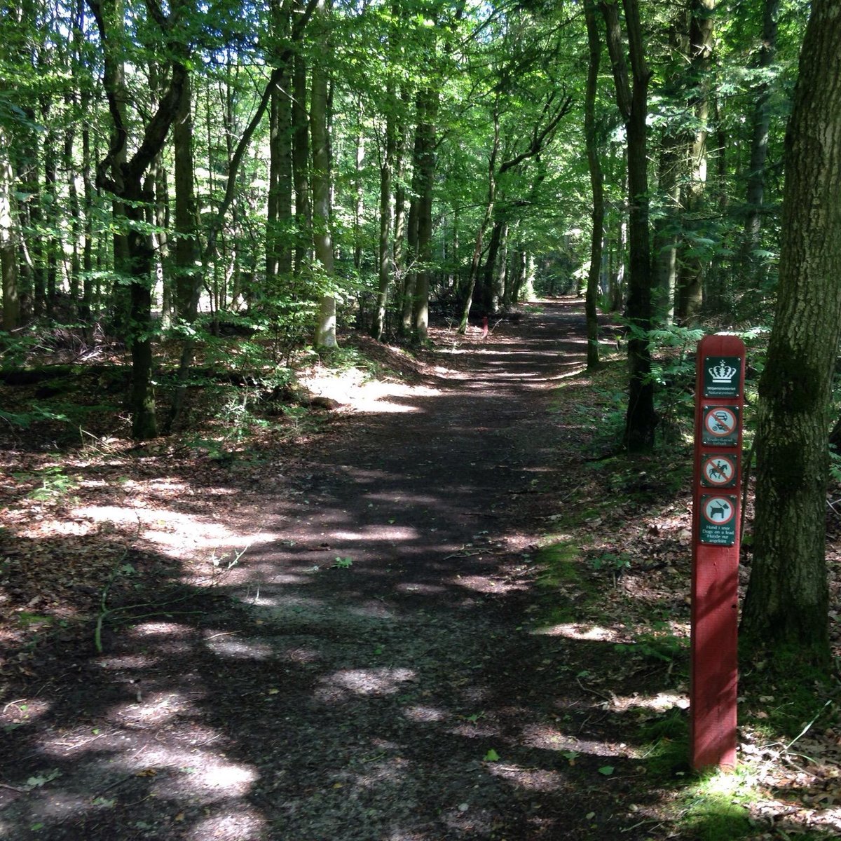 Husby Klitplantage (Ulfborg) - 2021 All You Need to Know BEFORE You Go