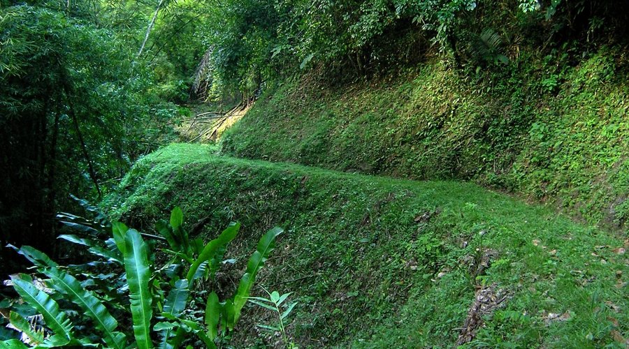 One of our trails .