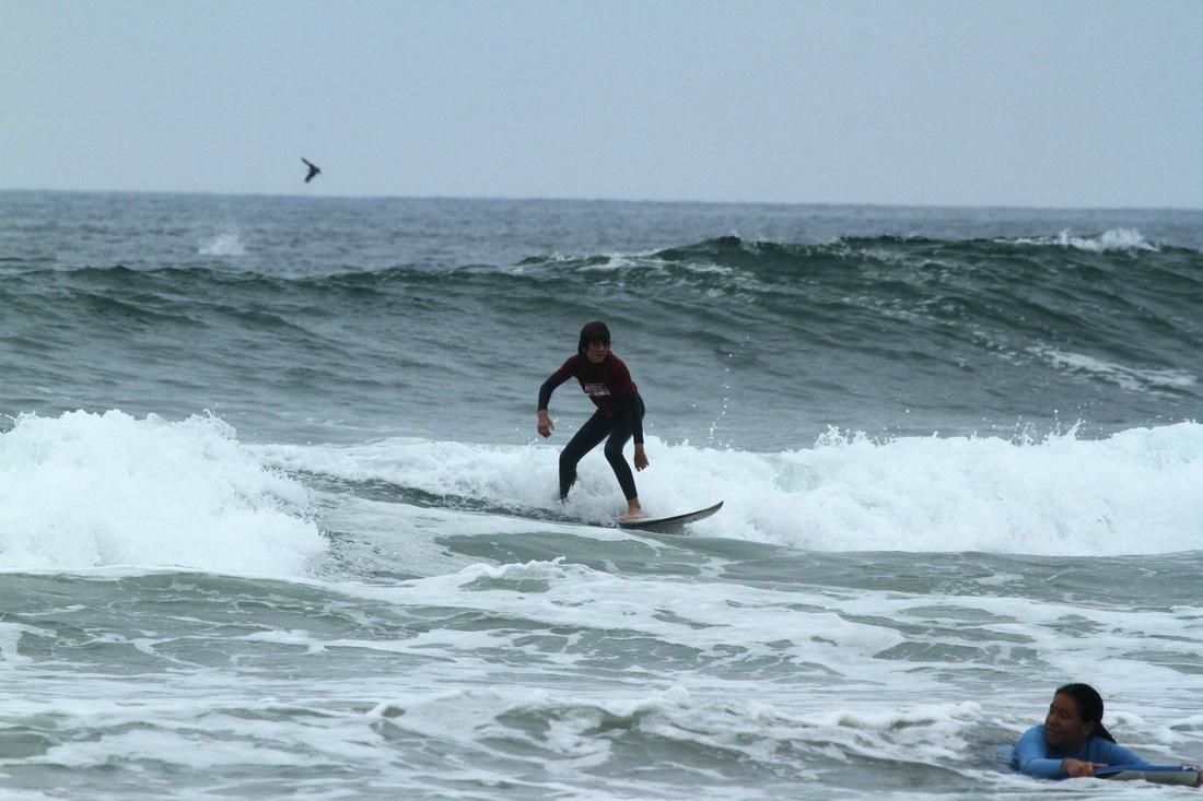 Hb surfing store