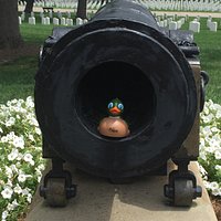 Mr. Peabody Pembroke goes to Rock Creek Cemetery