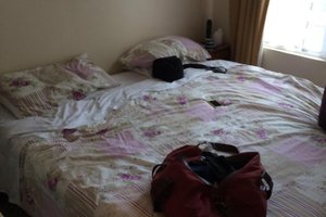 Room & Suite