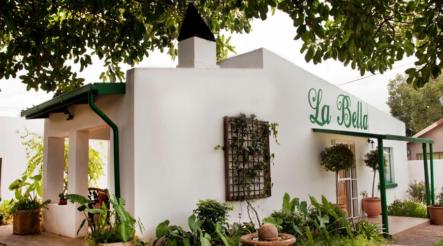 LA BELLA UNDER THE FIG TREE