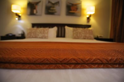 Hotel photo 3 of Haile Resort Hawassa.