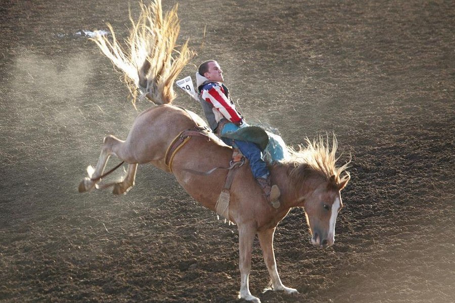 St. Paul Rodeo image