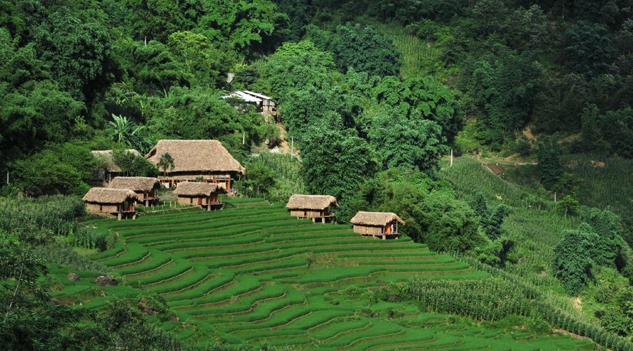 Grand View of Eco Palms House