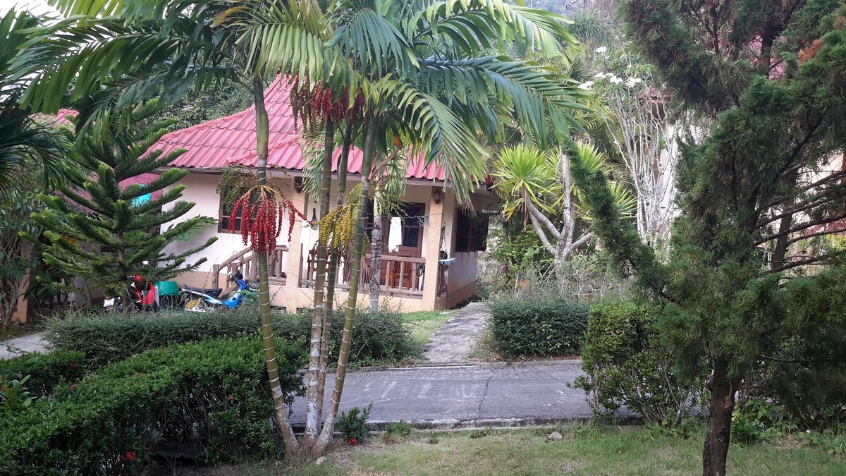 KING NEW BUNGALOW: Reviews (Krabi/Ao Nang) - Photos of Lodge - Tripadvisor