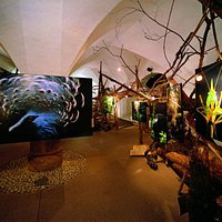Sonderausstellung - Mostra temporanea