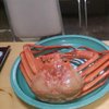 カシオペア