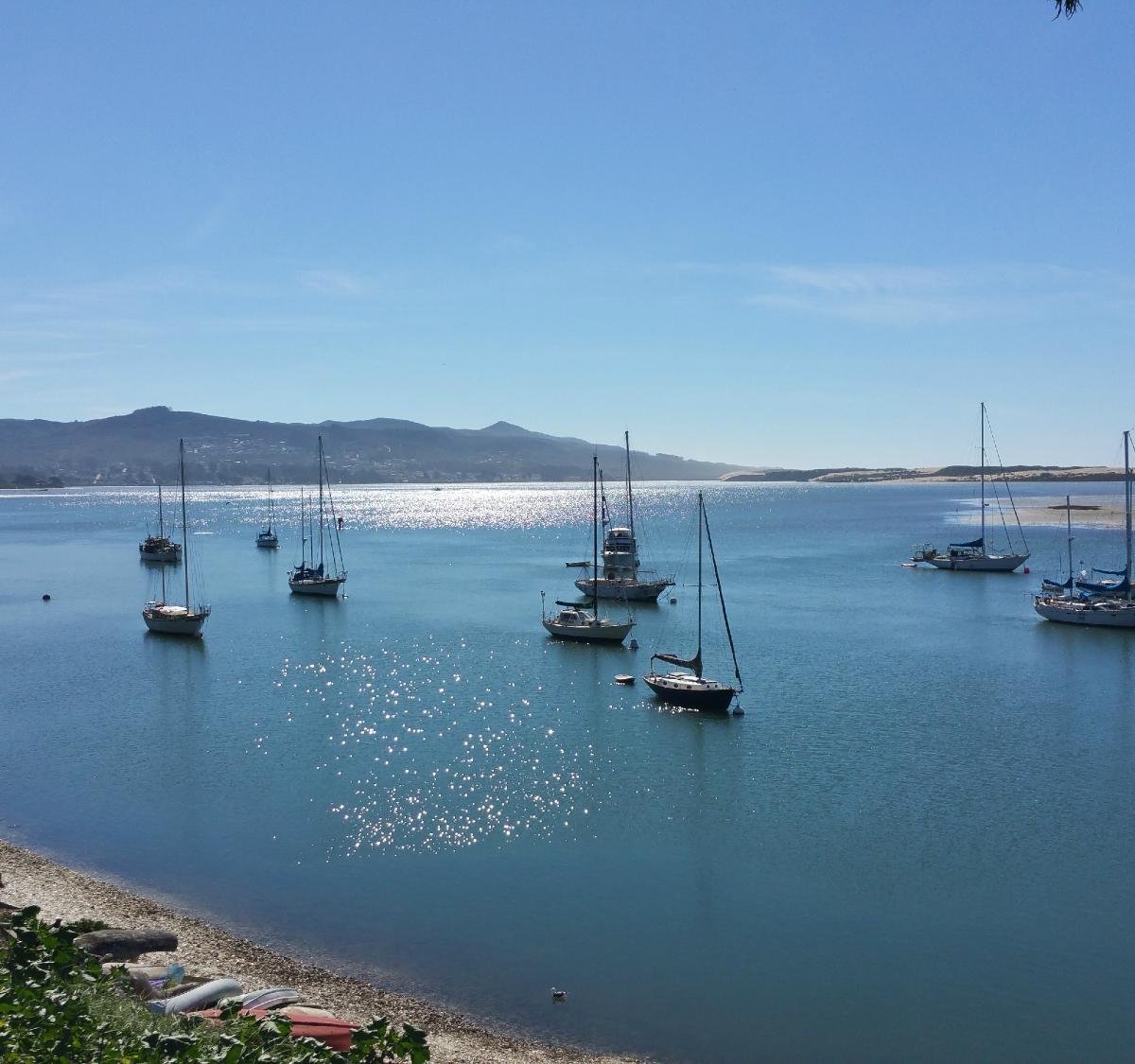 Bayshore Bluffs Park (Morro Bay): All You Need to Know