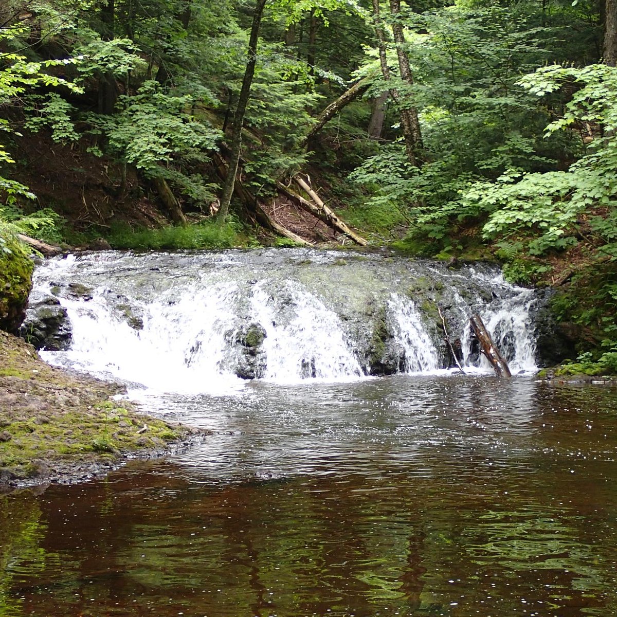 River trails