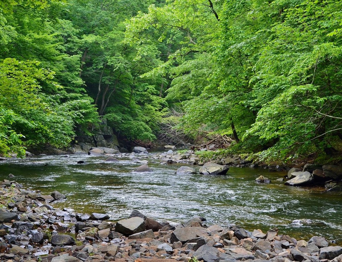 GUNPOWDER FALLS STATE PARK: Tutto quello che c'è da sapere