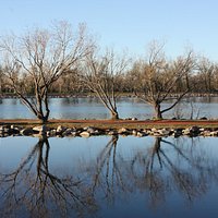 Strolling around Henderson Lake