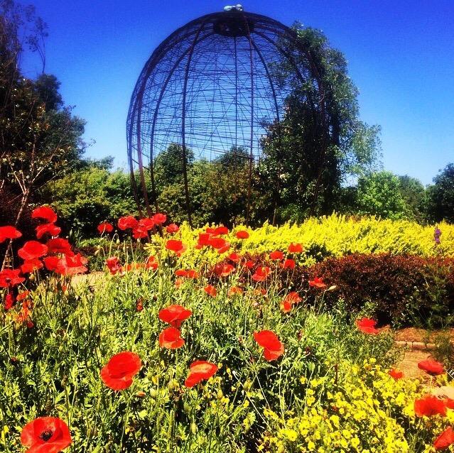 Botanical Garden Of The Ozarks (Fayetteville) - 2022 Alles Wat U Moet ...