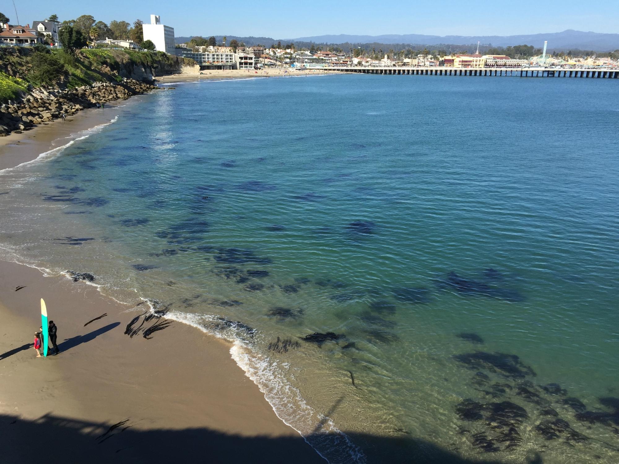 THE 10 BEST Santa Cruz Beaches Updated 2024 Tripadvisor