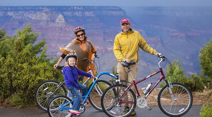 Great Family Activity!