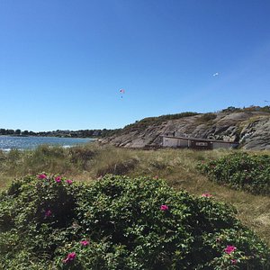 Stranden og omgivelser ved Åsa Camping & Havsbad