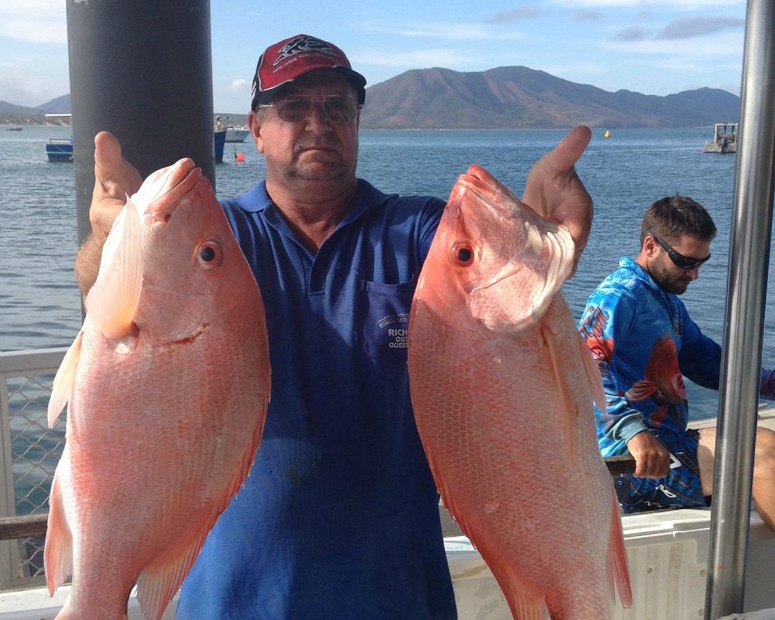 reef tours from cooktown