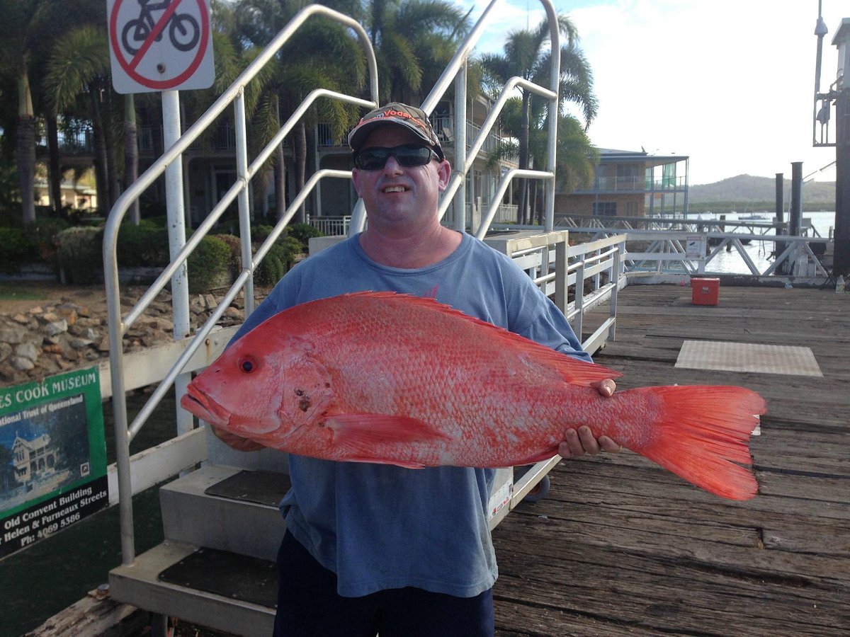 reef tours from cooktown