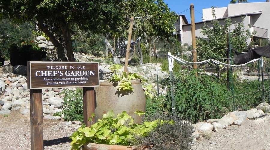 Chef's Garden